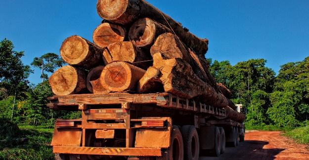 Combatting the illegal timber trade with blockchain operating platform