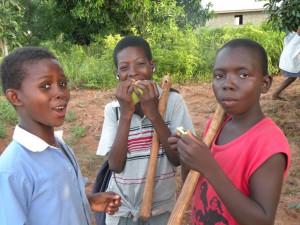 Ernest, Kwadzo, Akpeko