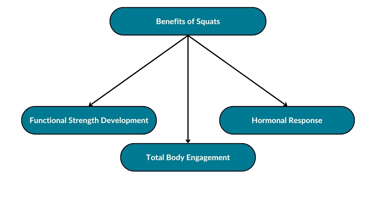 The image showcases the benefits of squats. These include functional strength development, total body engagement, and hormonal response.