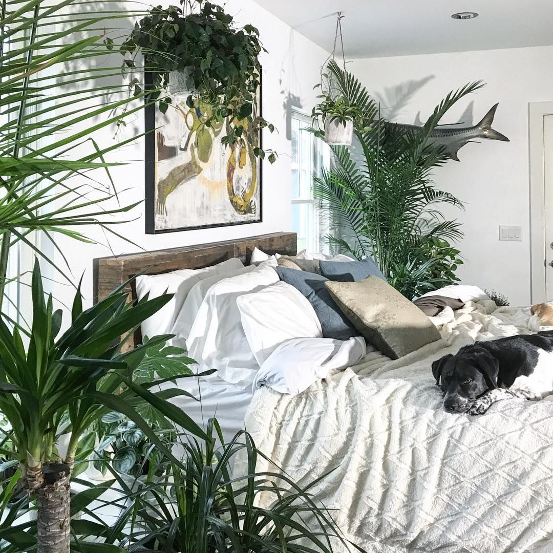 kamar tidur tanaman
