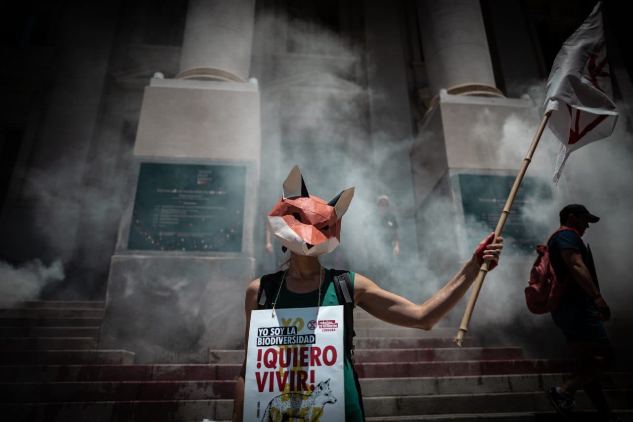 Rebel wearing a fox face mask with a placard saying 'I want to live' in Spanish