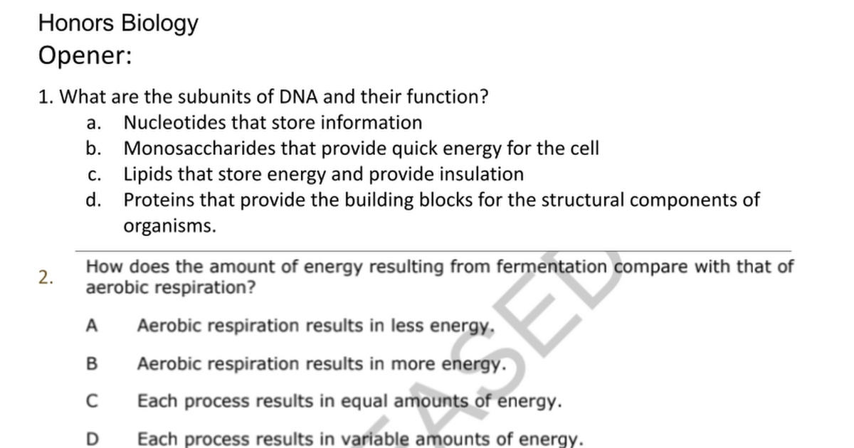 Molecular Genetics Notes, Day 3