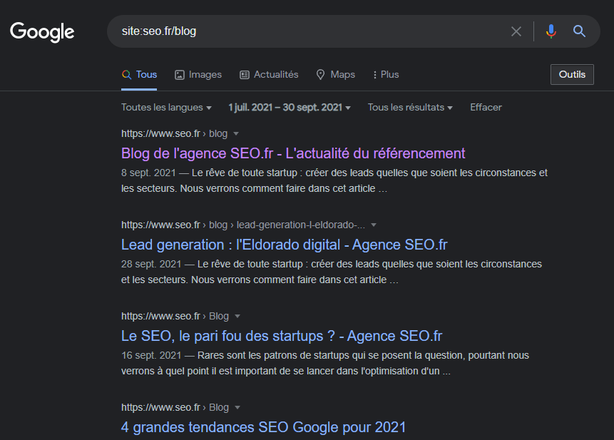 Site seo fr blog