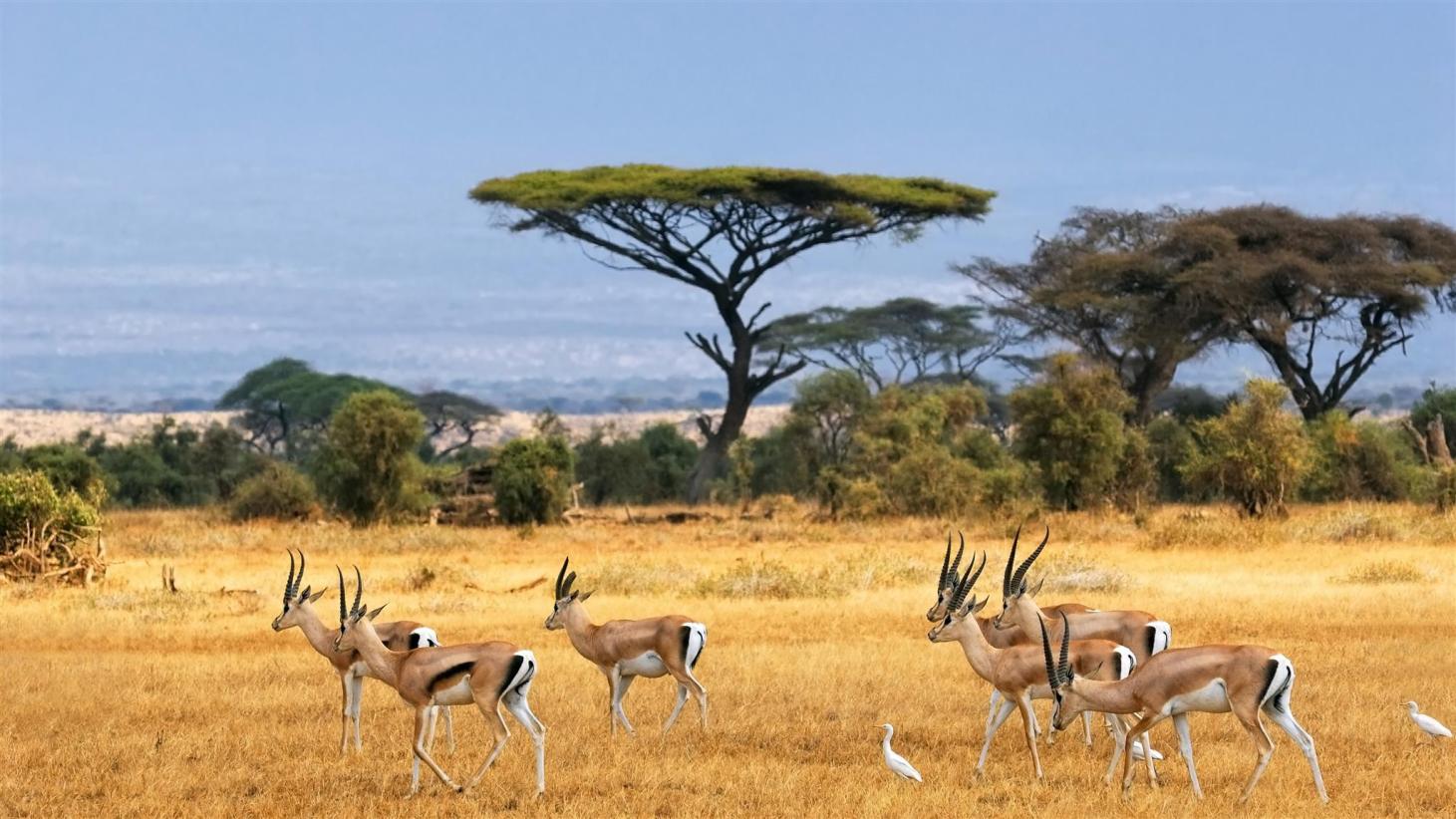 Best Places to Visit in Kenya