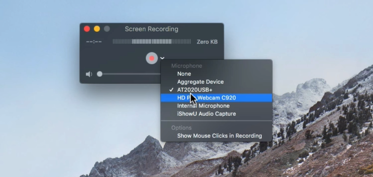How to Record Screen and Webcam Simultaneously [Windows, Mac, Online] 
