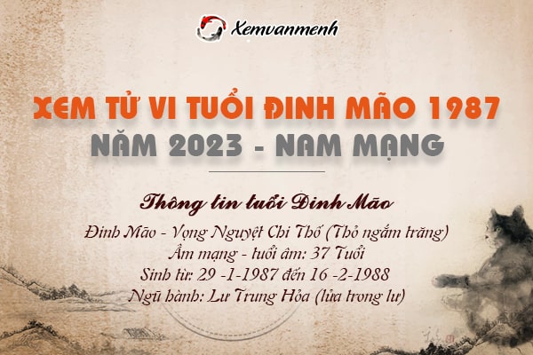 Tử vi tuổi Đinh Mão nam mạng năm 2023 