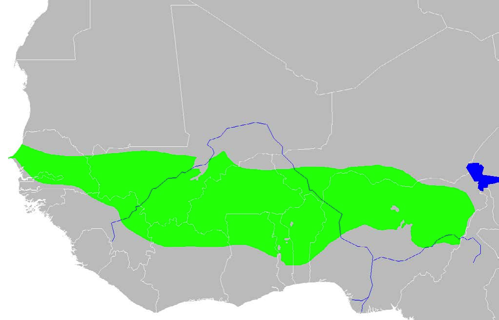 Western sudan