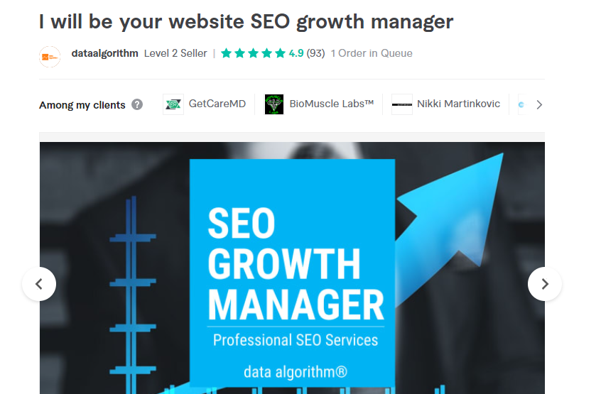 picture of SEO Growth Package by dataalgorithm