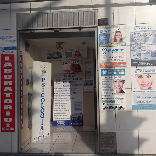 Opiniones de Clinica Dental Mydent Sede Jesus Maria La Brasil en Lima - Dentista