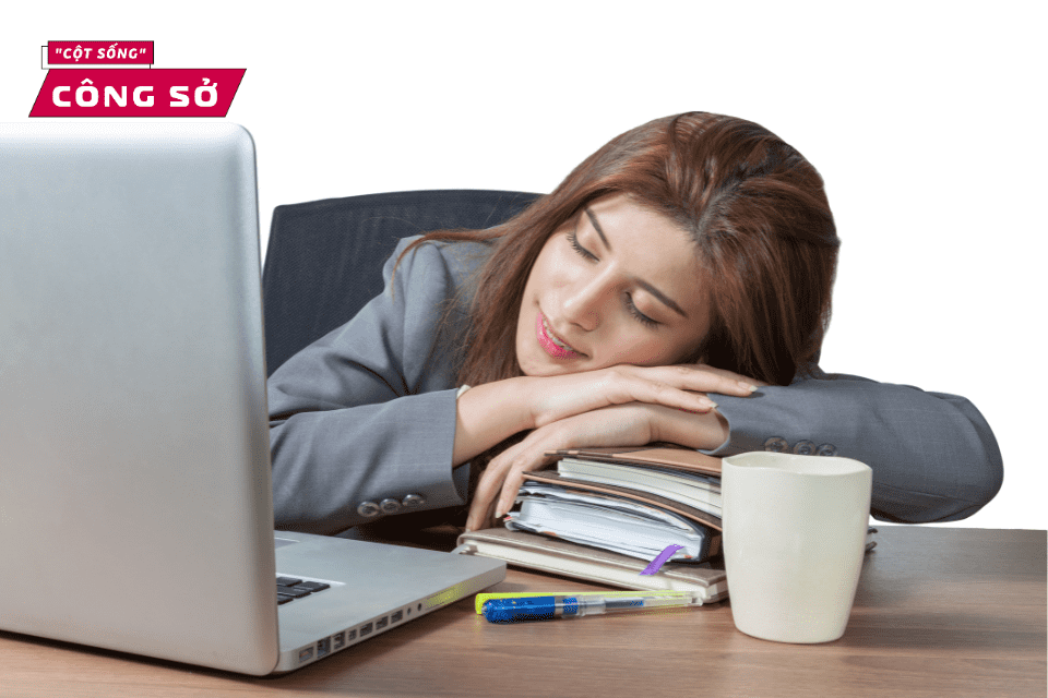 Giấc ngủ trưa ngon giúp chúng ta hồi phục, giảm căng thẳng
