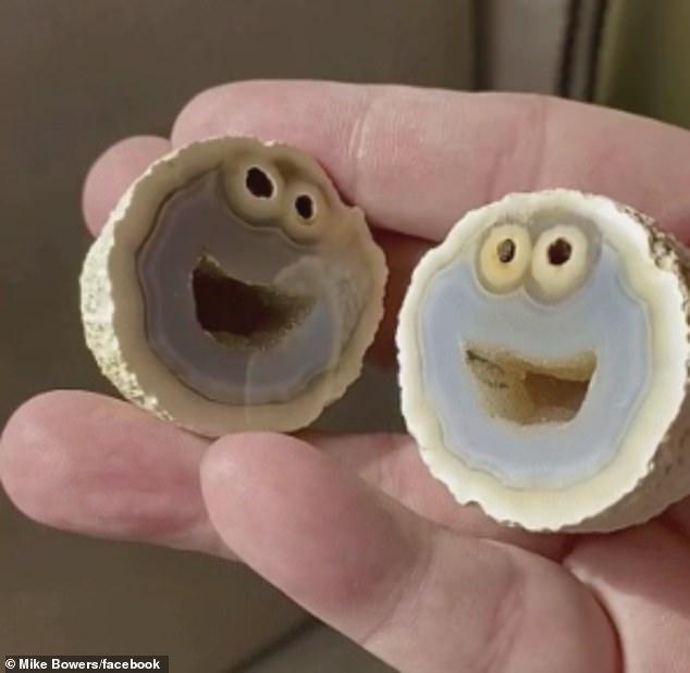 This is the amazing agate rock found in Brazil which bears an uncanny resemblance to Sesame Street's Cookie Monster