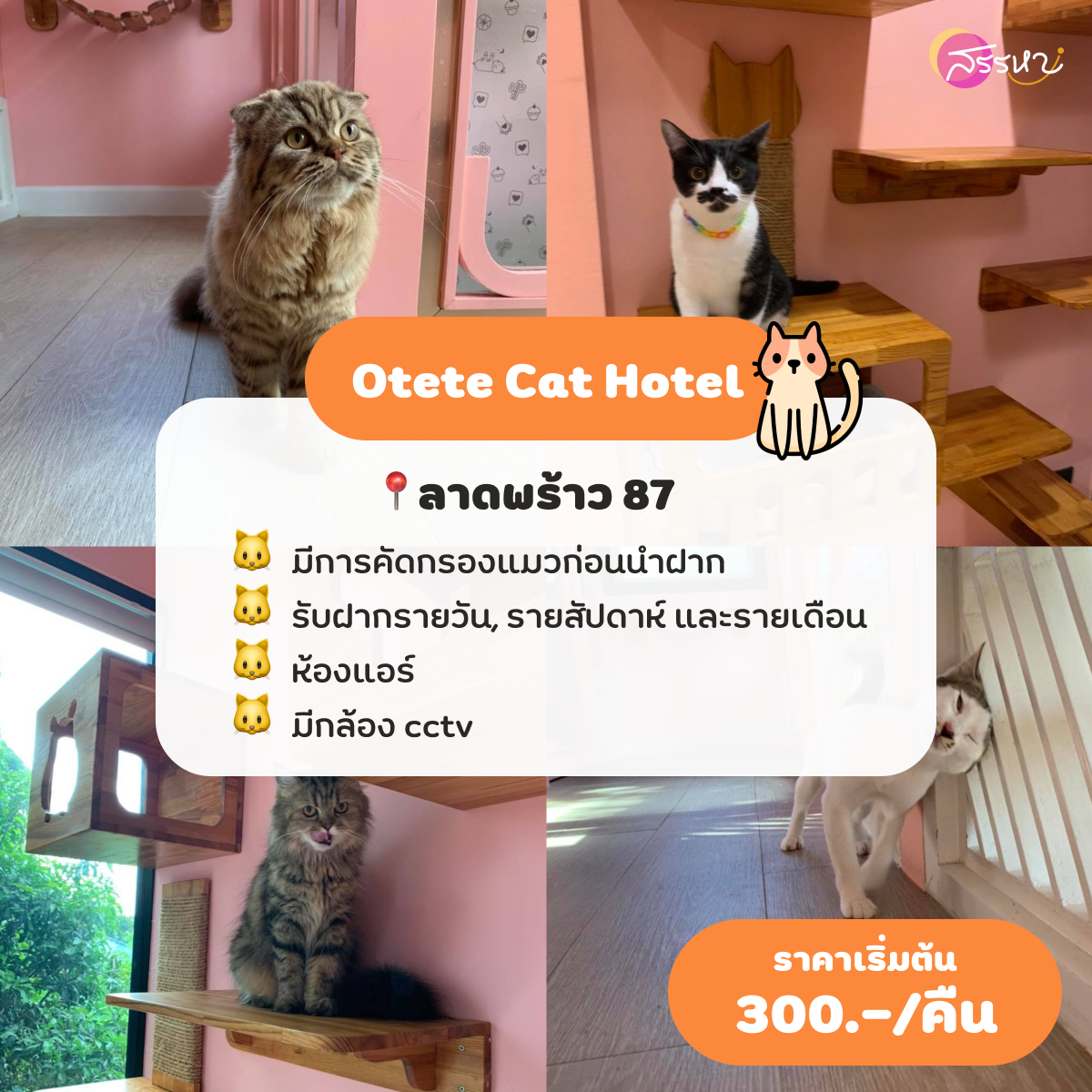 Otete Cat Hotel