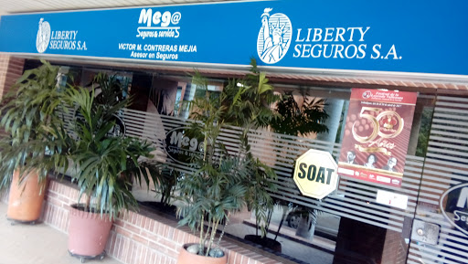 Mega Seguros y Servicios