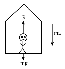 Dynamics | Laws Of Motion Class 11 | Physics | Notes