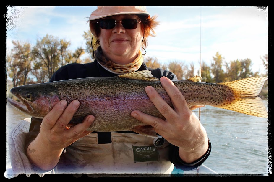 Wyoming Fly Fishing Guides Bighorn River, Wind River, Green River, Lander, Dubois, Thermopolis, Fontenelle