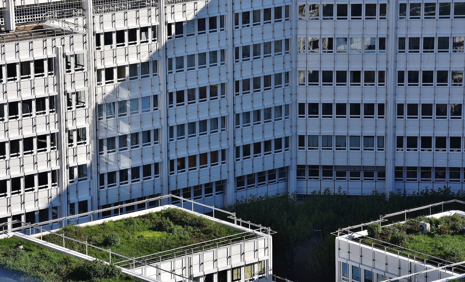 Telhados verdes são uma solução sustentável e trazem conforto térmico para as construções. Eles diminuem os gastos com energia e diminuem a conta de luz.