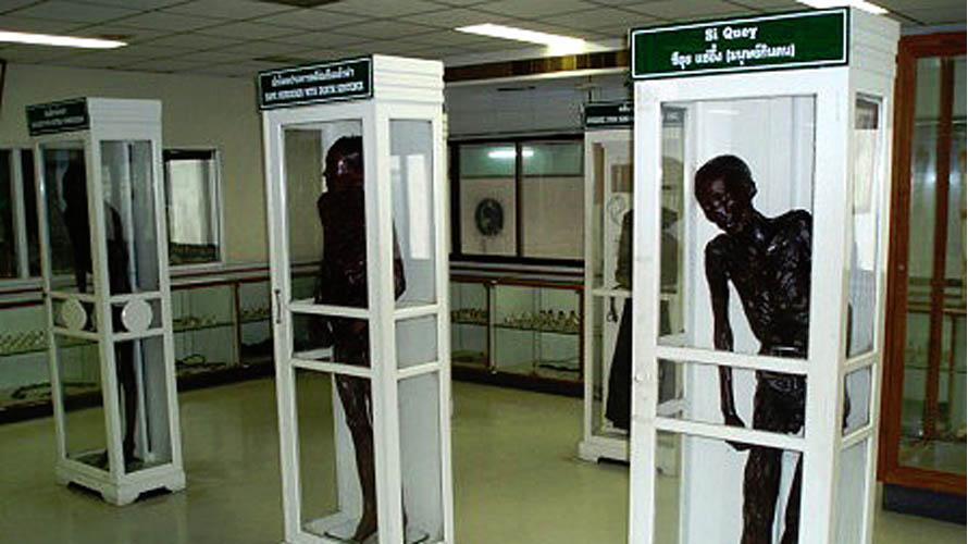 Image result for bangkok forensik muzeum