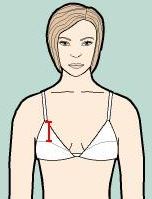 Breast/cup top height: from breast apex along skin to the point where you want the top edge of the bra to be. This measurement depends on bra design and is up to you; if you cannot decide this, try the default measurement which is 3-1/8" (8cm).
