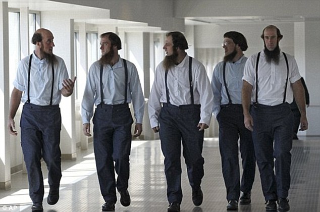 Kuvahaun tulos haulle amish