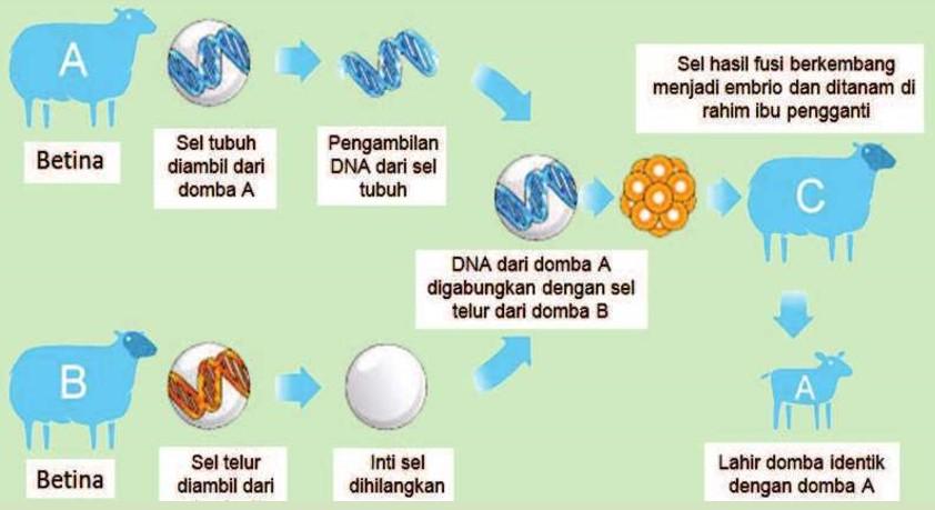proses kloning