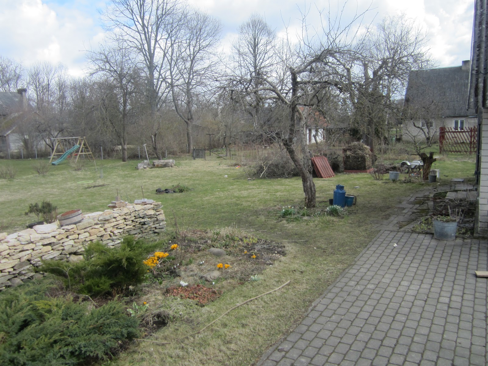 IMG_7134.JPG