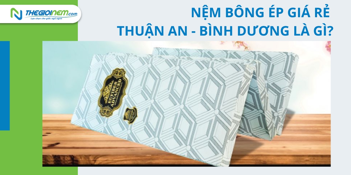 Đại lý bán nệm bông ép giá rẻ Thuận An - Bình Dương