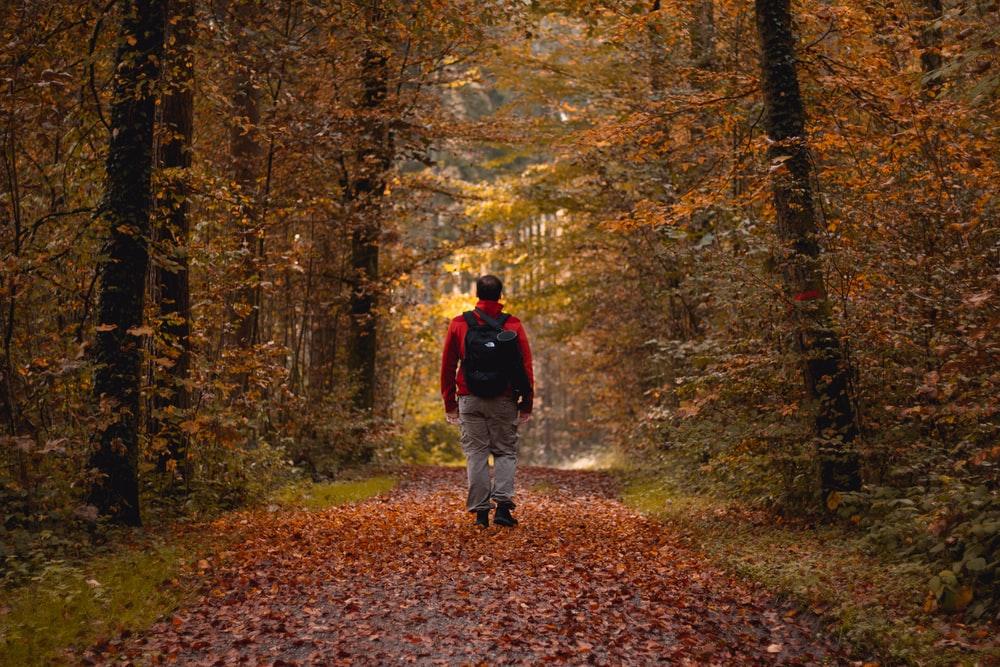 man in black jacket walking on forest during daytime