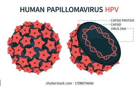 diagram of Human Papillomavirus: All you need to know
