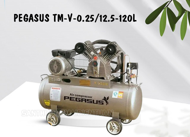 Pegasus TM-V-0.25/12.5-120L