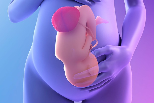 baby on mother's stomach 3d image