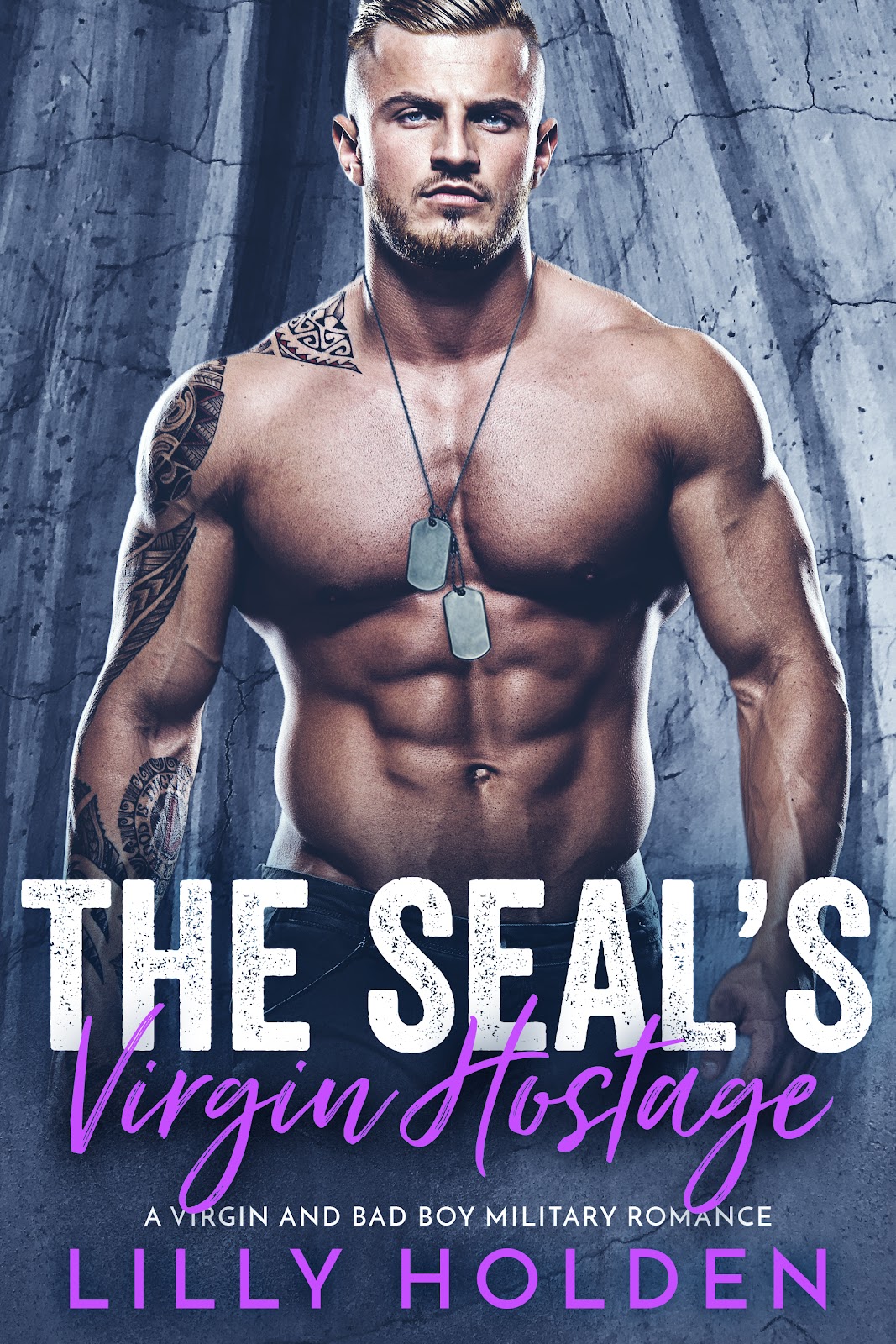 The SEALs Virgin Hostage