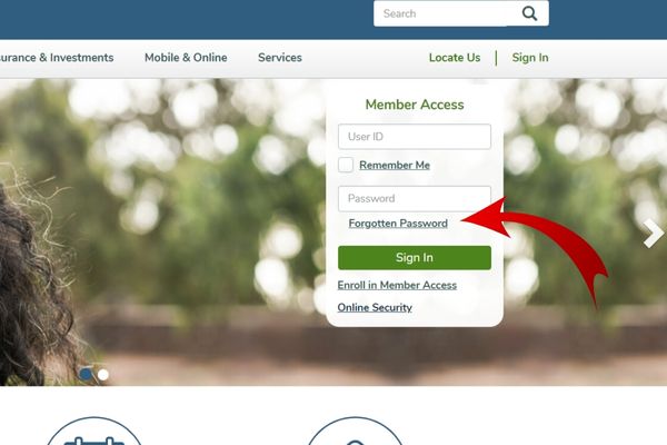 forgot password of state employees credit union