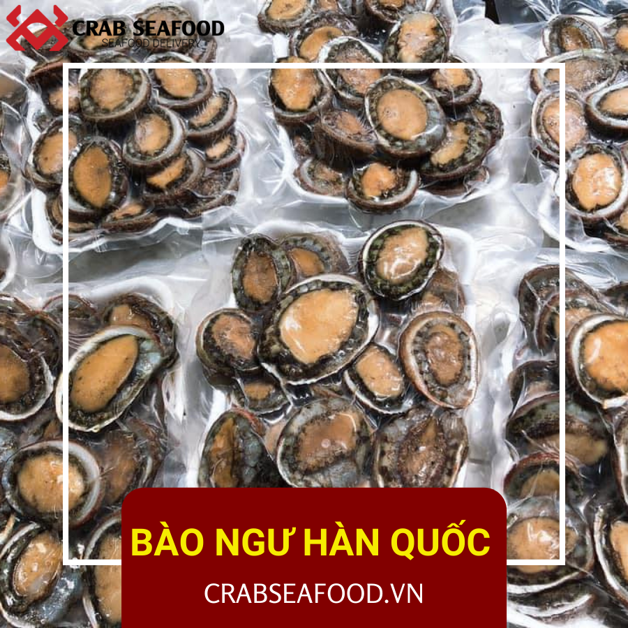 Bào ngư có tác dụng gì?