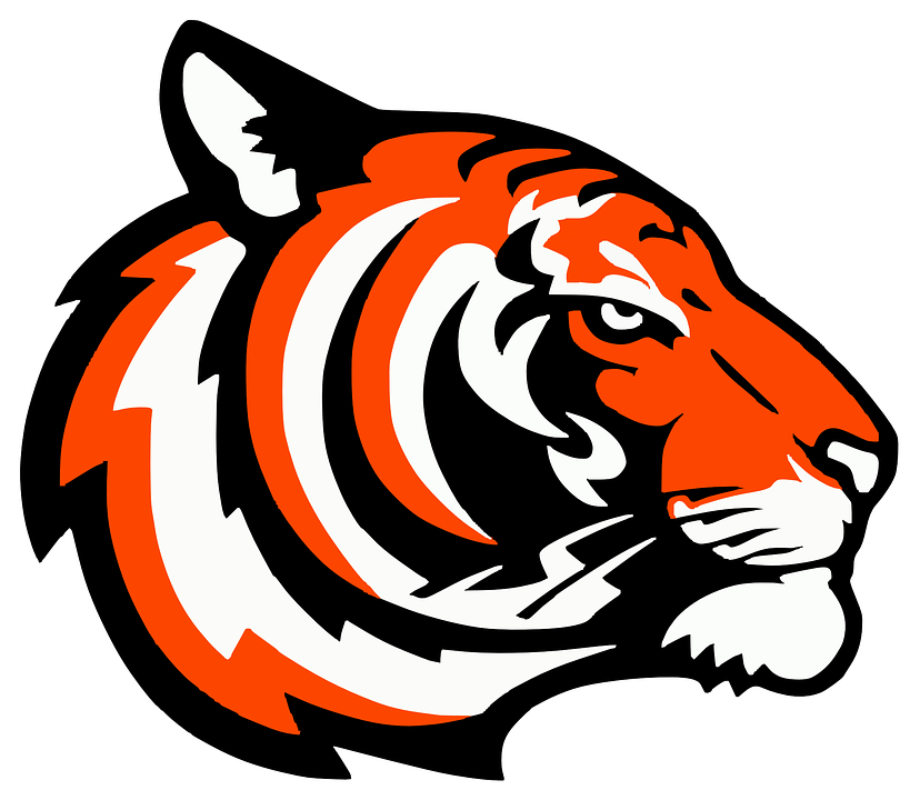 Free vector graphic: Tiger, Head, Logo, Isolated, Sports - Free ...
