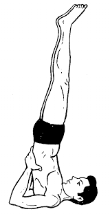 Sarvangasana.png