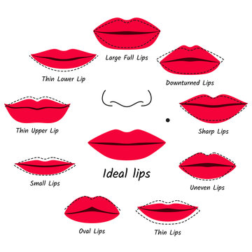 What is a Lip shape Chart