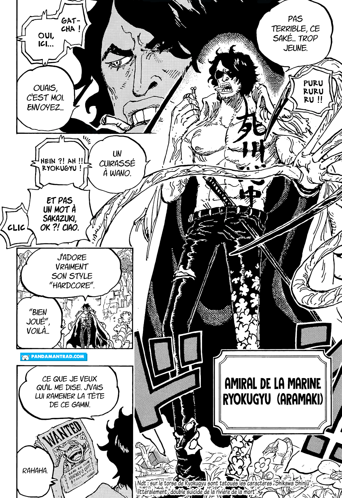 One Piece: Chapter chapitre-1053 - Page 11