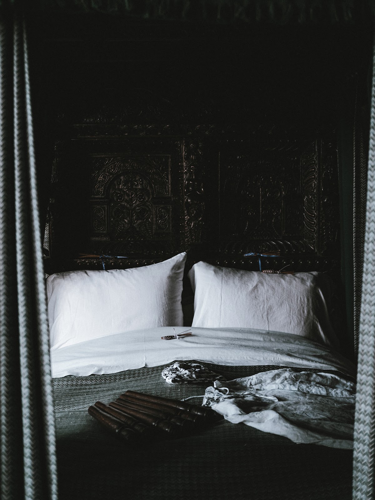 bed bugs