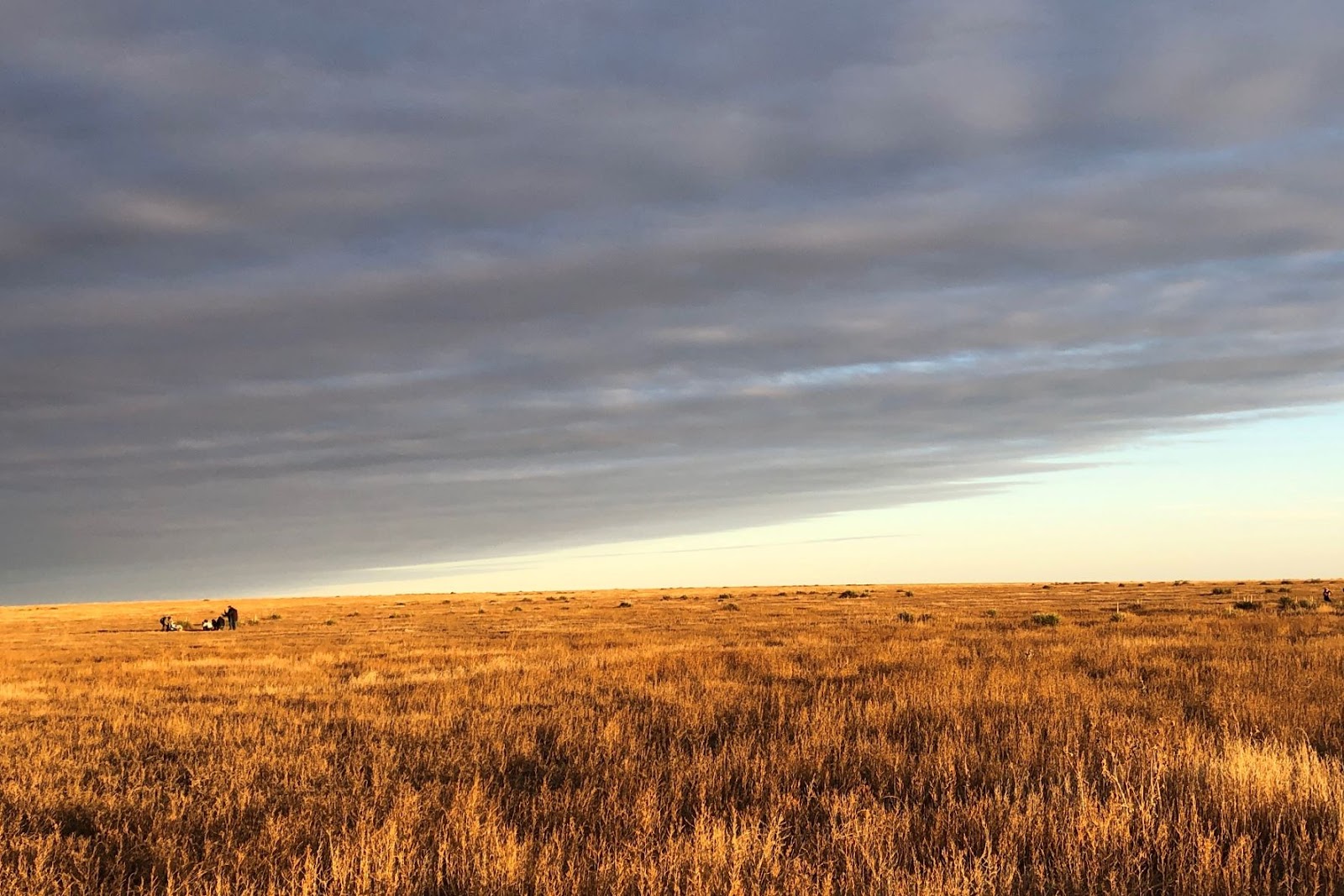 Clouds roll in over the vast expanse of the May Ranch meadow