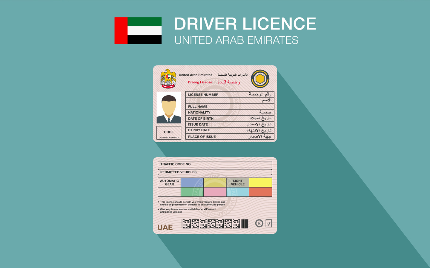 uae driving licence