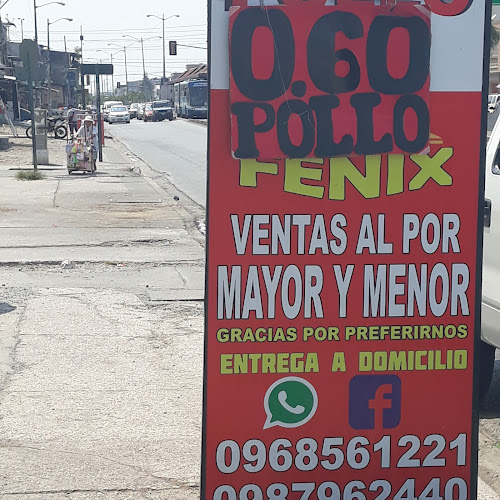 Opiniones de Pollo Fenix en Guayaquil - Carnicería