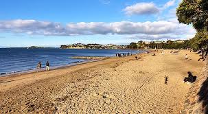 Image result for mission bay