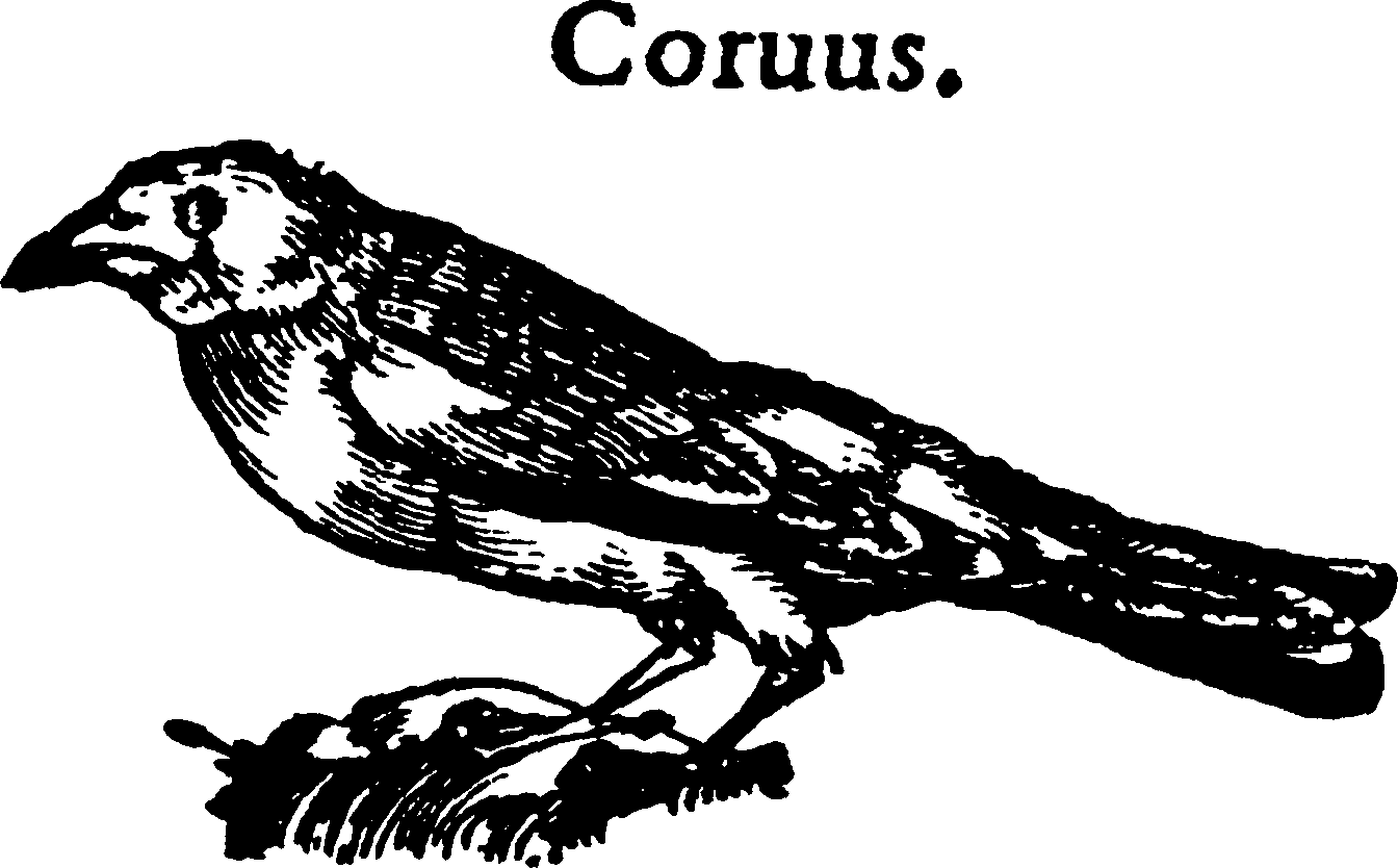 .com/