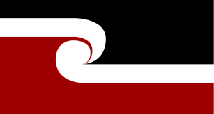 New Zealand elections: Māori seats once again focus of debate
