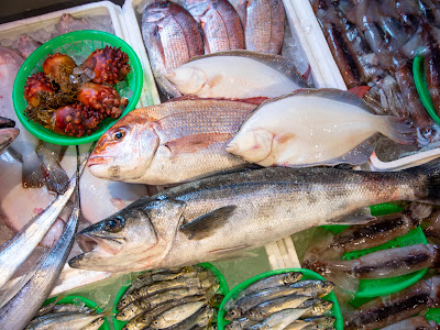 [最も共有された！ √] タイ 魚 種類 146024-タイ 魚 種類