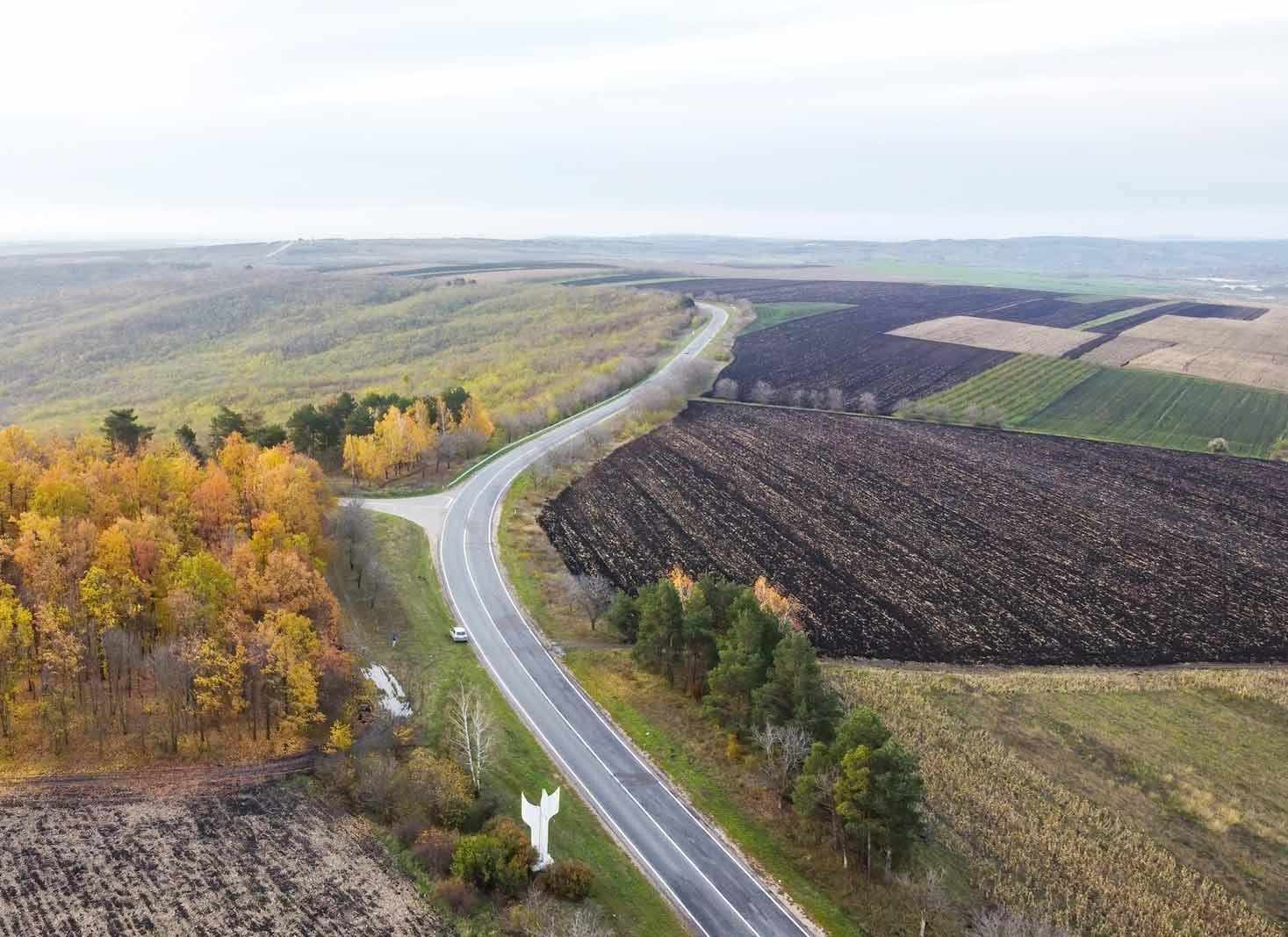Are There More Trees Now Than 100 Years Ago?