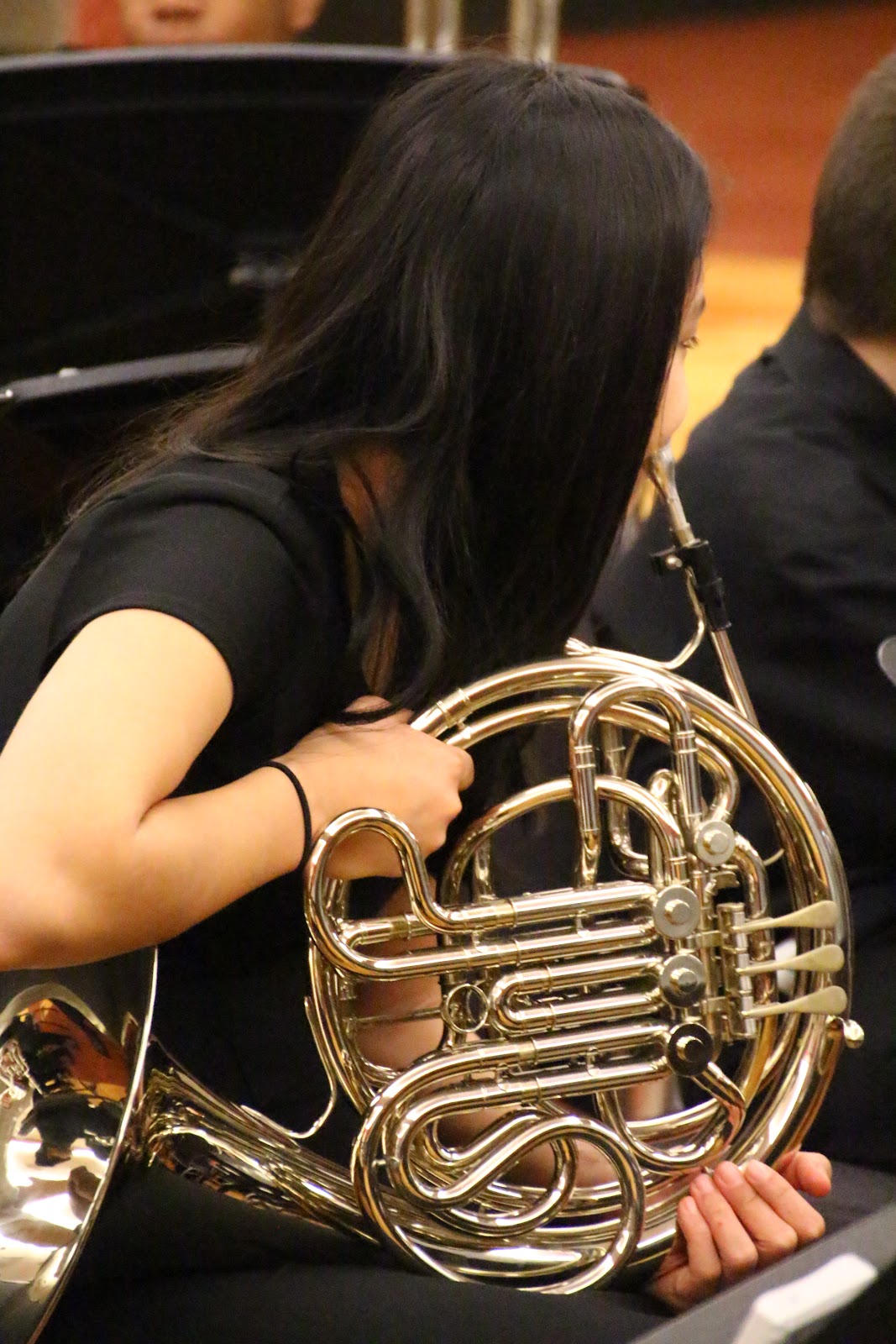 French_Horn-Player-1290.jpg