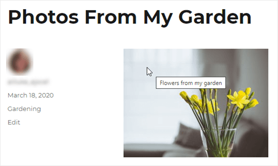 Uma imagem com o texto do título "Flores do meu jardim"