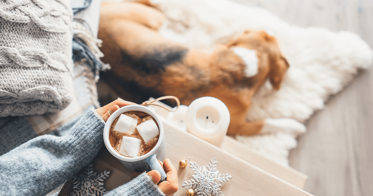 dog asleep on rug with owner holding hot chocolate