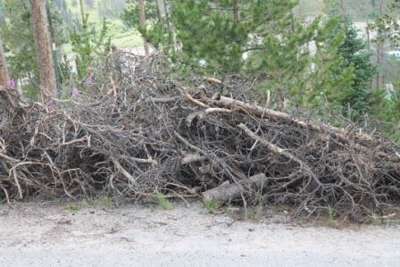 Example of a bad slash pile for chipping program